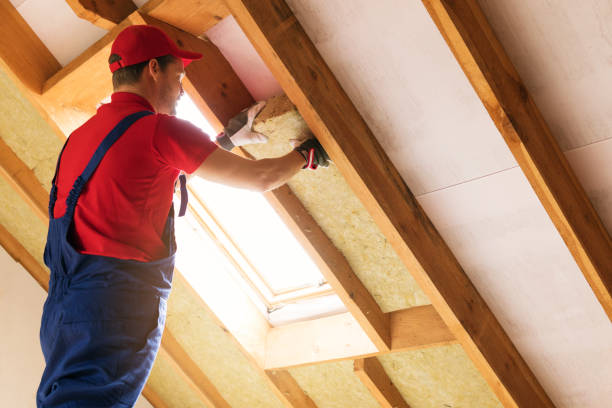 Types of Insulation We Offer in Elmo, TX